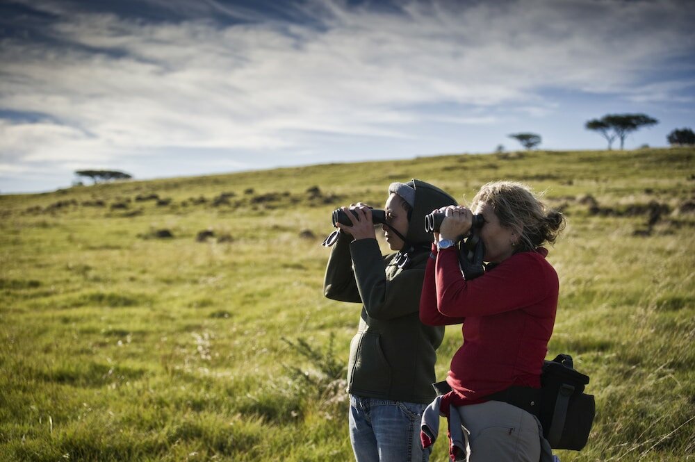 Фото Three Tree Hill