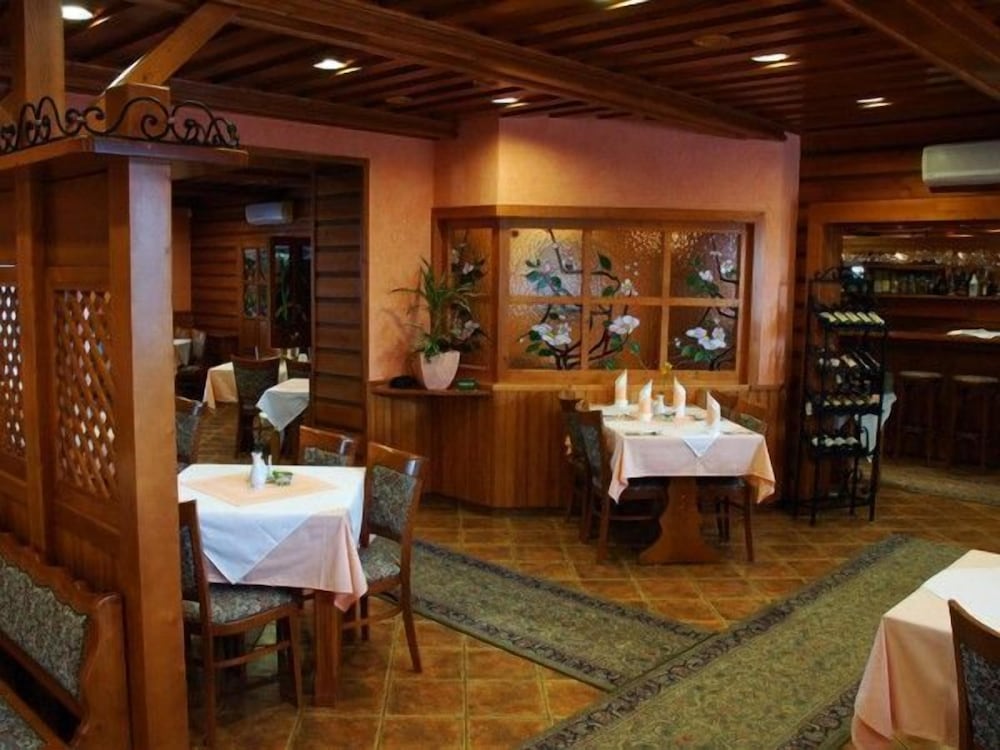 Фото Hotel Karpatsky Dvor