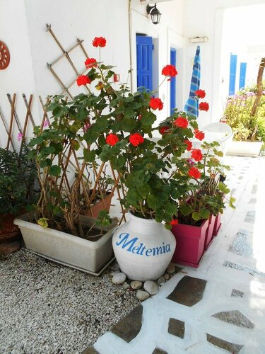 Гостиница Meltemia Studio Samos № 2 Alyki