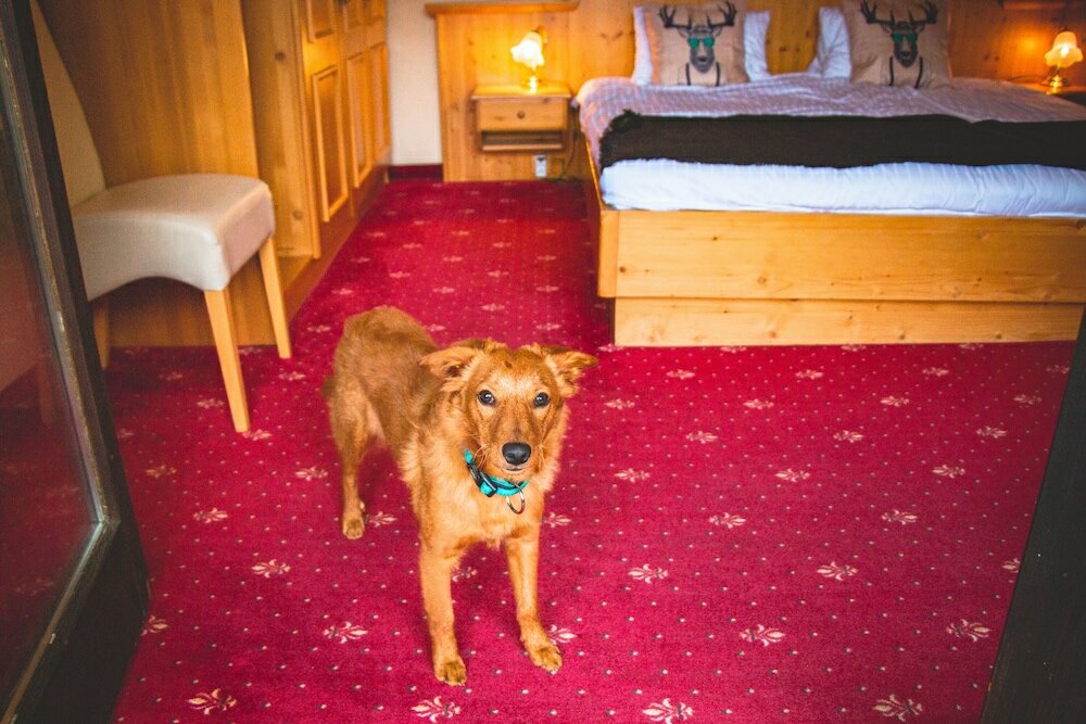 Фото Hotel Sportalm