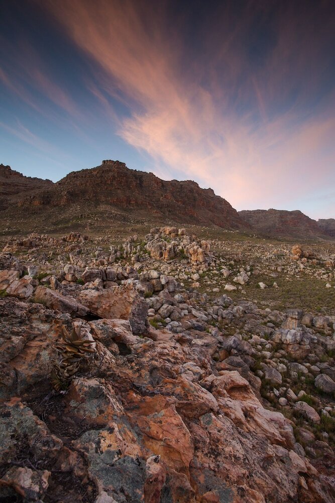 Фото Cederberg Park