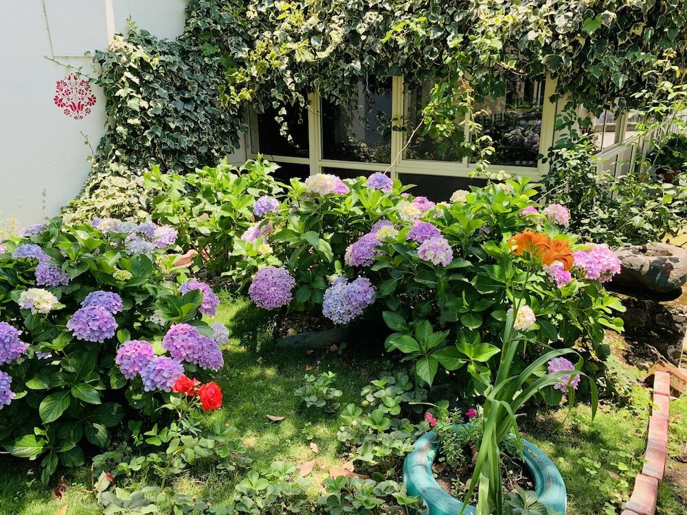 Фото Tatva Bir Tents and Hotel