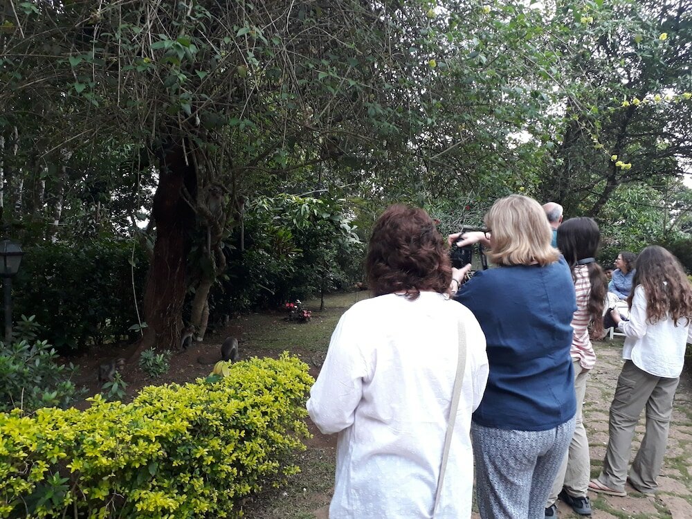 Фото Ambady Estate