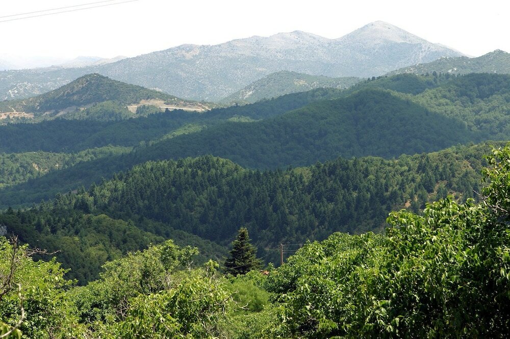 Фото Hotel Papanikola