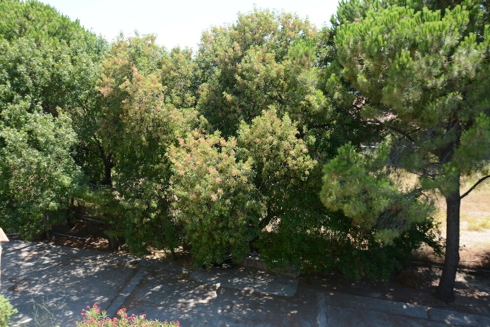 Фото Niki Hotel Apartments