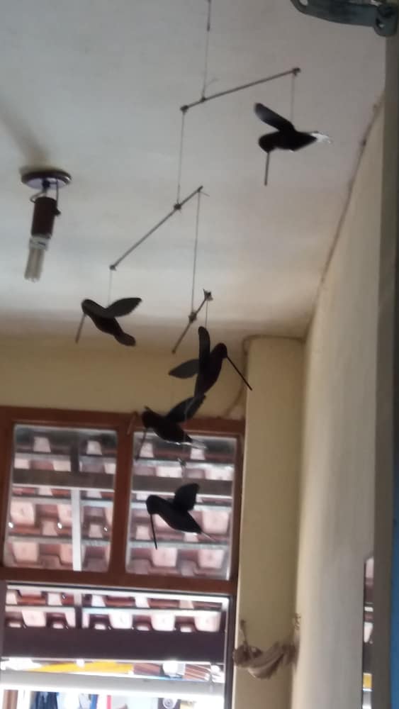 Фото Pousada Barcarola