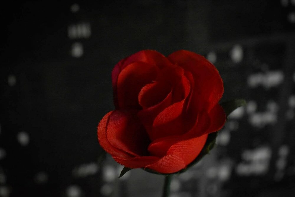 Фото Tlc Exmouth Bed and Breakfast