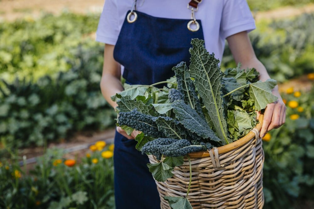 Фото Six Senses Shaharut