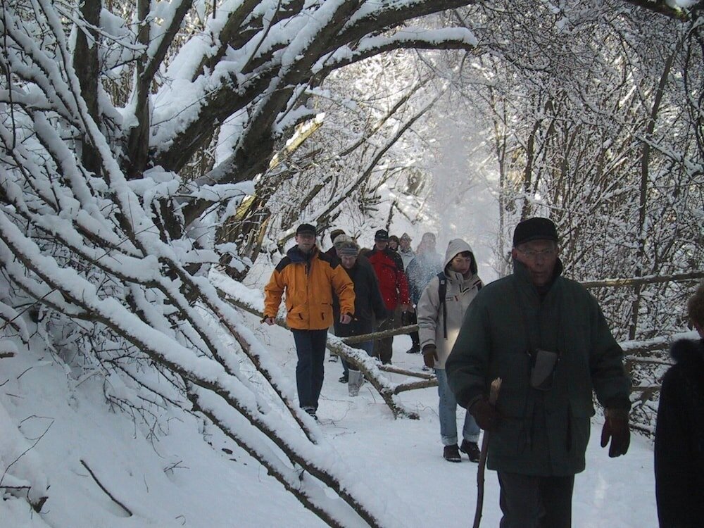 Фото Hotel Stadt Daun