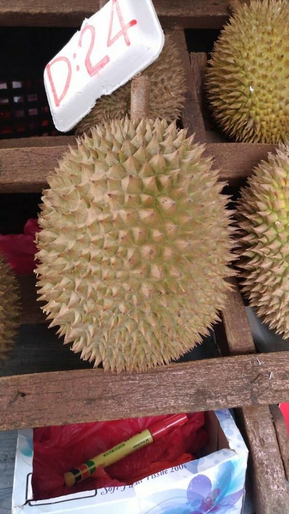 Фото Hotel China Town Inn