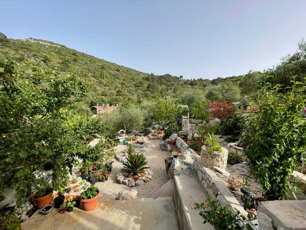 Фото Apartments Leviana