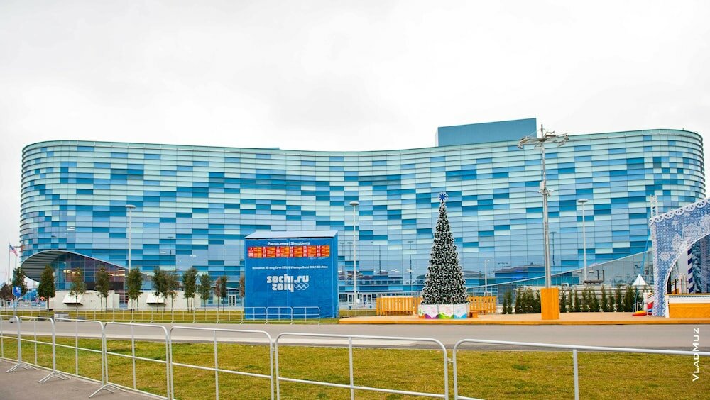 Фото Клевер