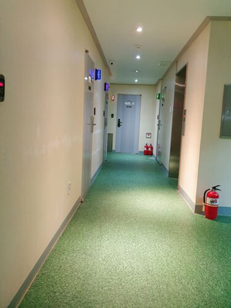 Фото Peanut Hotel