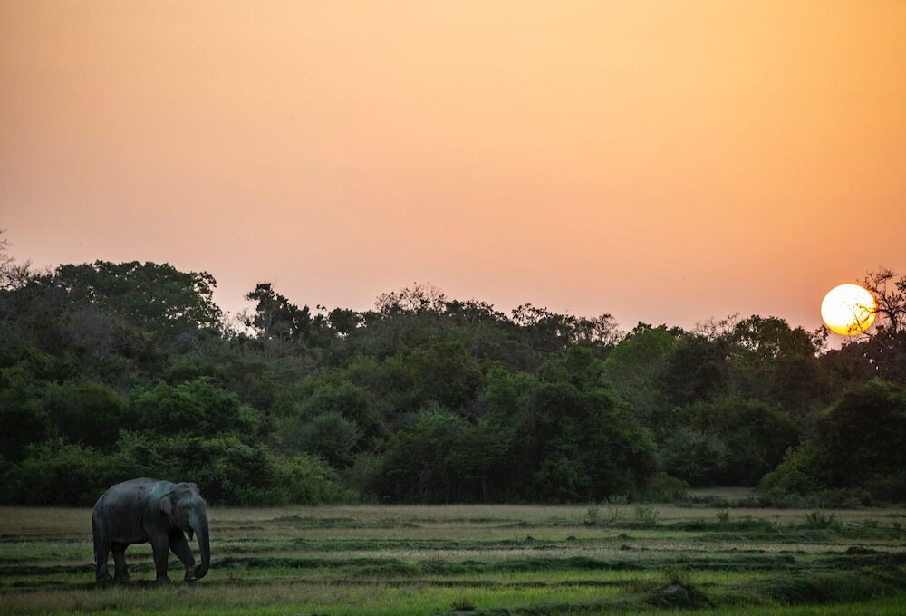 Фото Waypoint Arugam Bay