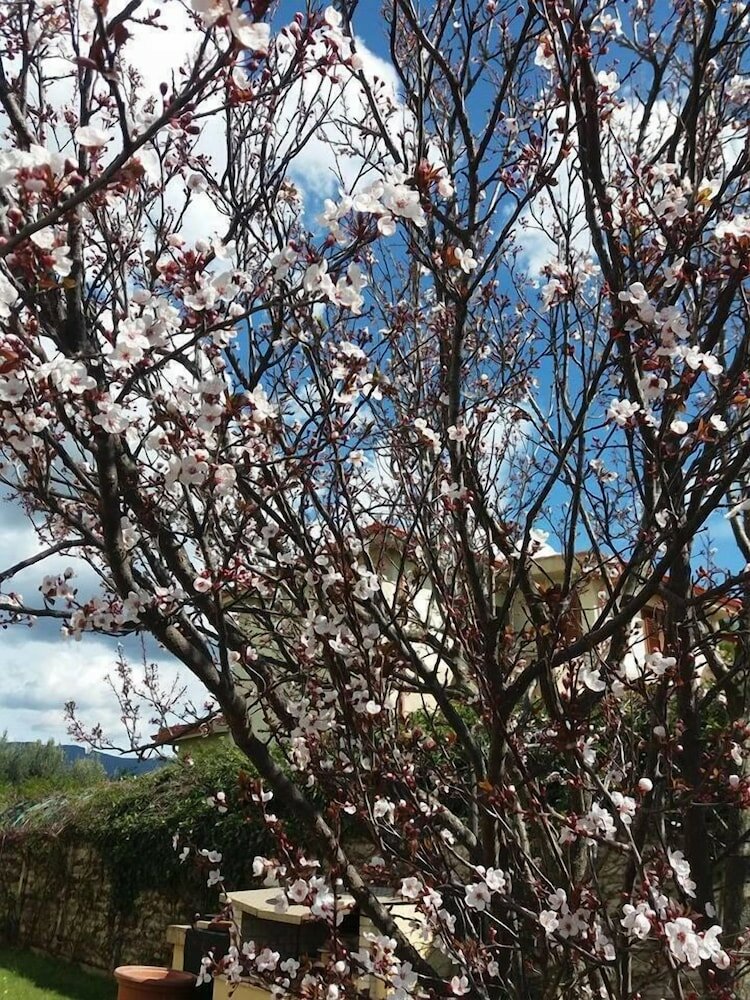 Фото Villa Marilena