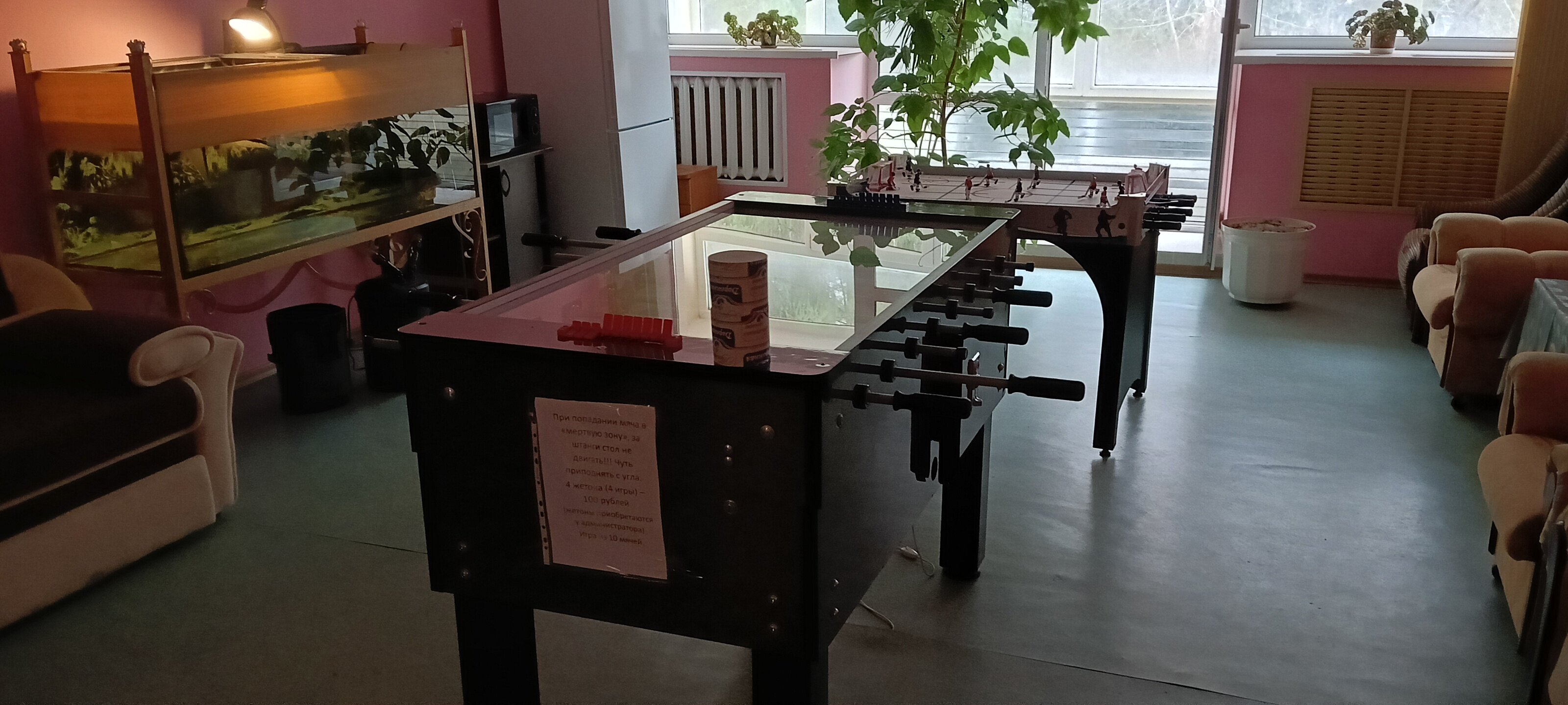 Фото Янтарная