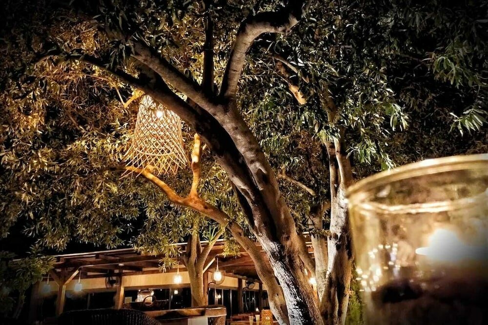 Фото Plataria Seaside Resort