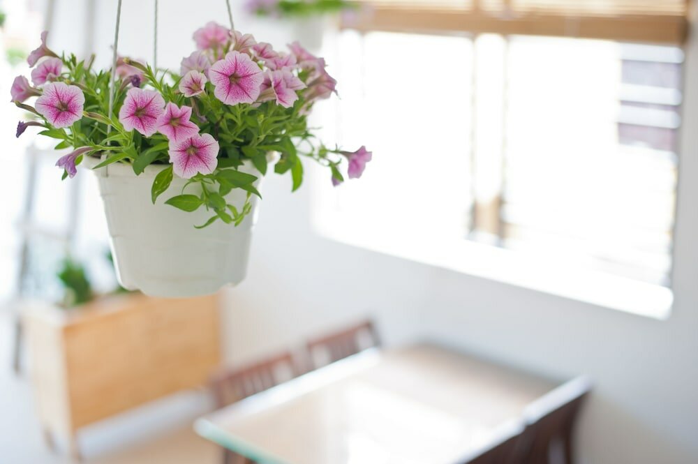 Фото Hue Sweethouse 2 Homestay