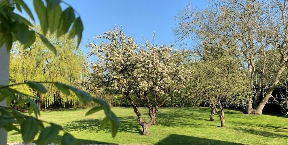 Фото Hope Orchard Bed & Breakfast