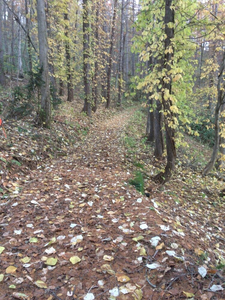 Фото Niseko Tabi-tsumugi Backpackers