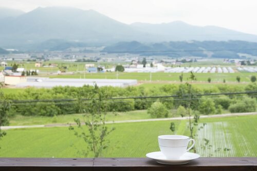 Гостиница Furano Lookout