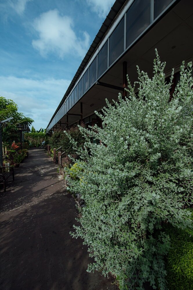 Фото Chan's Smart Living Inn Semporna