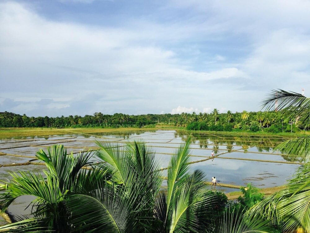 Фото Paddy House Villa