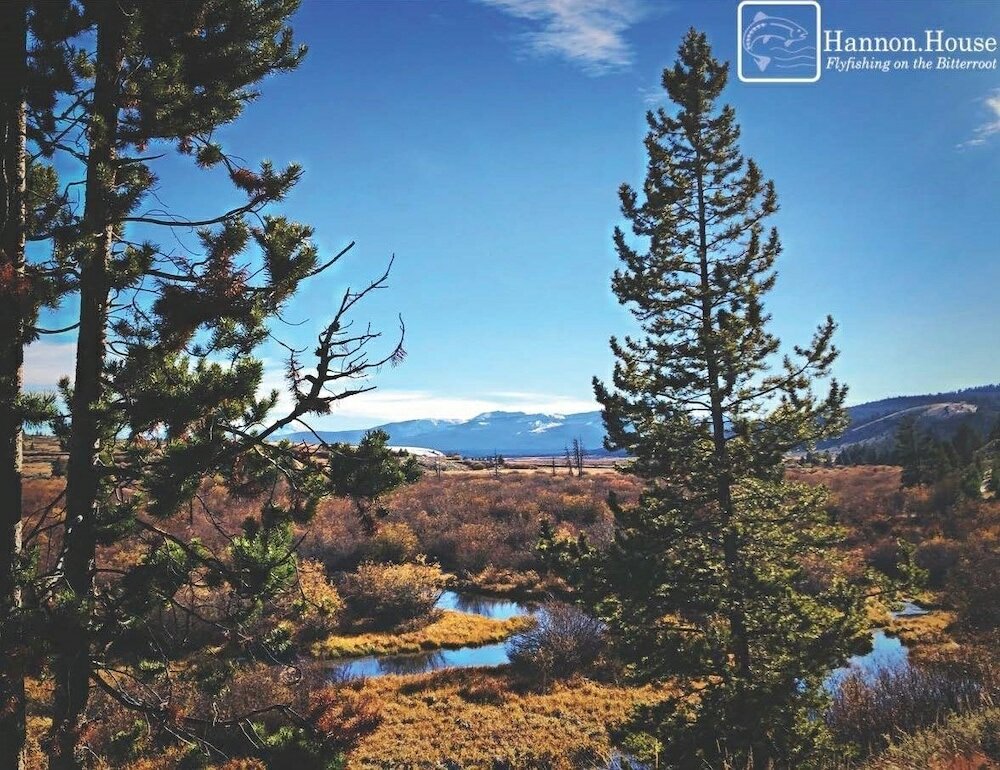 Фото Hannon House