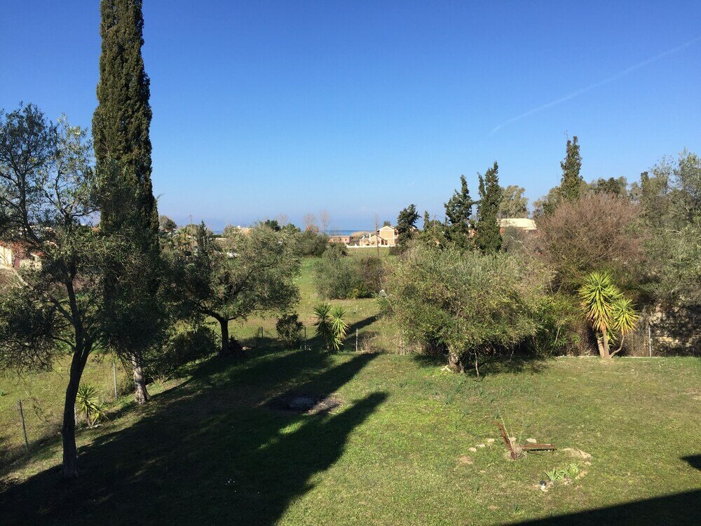 Фото Alexander Apartments