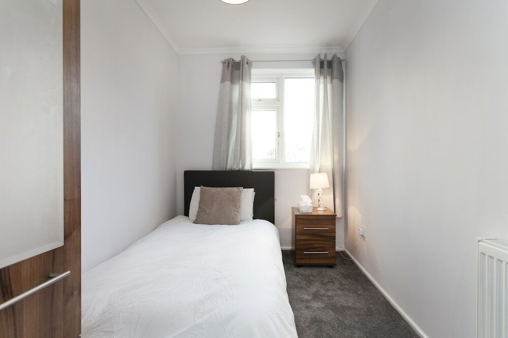 Фото Mega Shelley