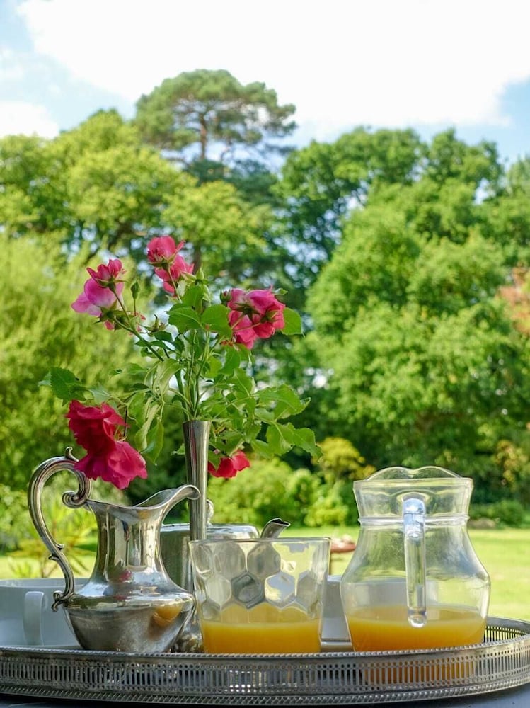 Фото Cedar House Boutique B&b