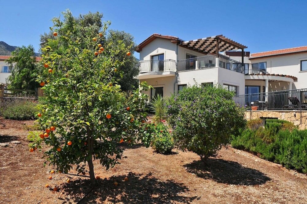 Фото Villa Amelia by Amy Villas