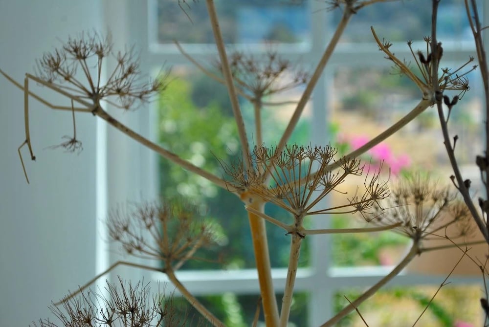 Фото Villa Blue Horizon by Amy Villas