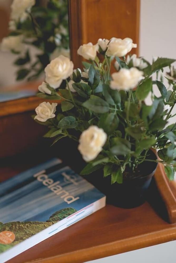 Фото Dream Guesthouse Vik