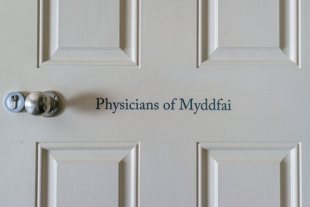 Фото The New White Lion