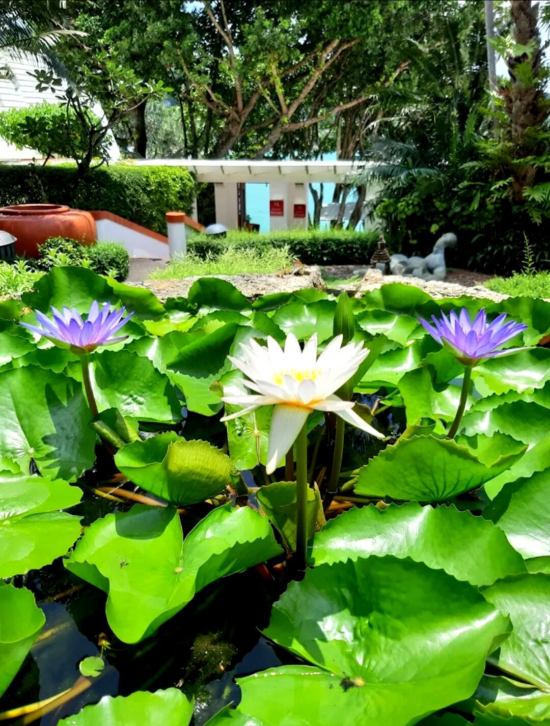 Фото Mom Tri's Villa Royale