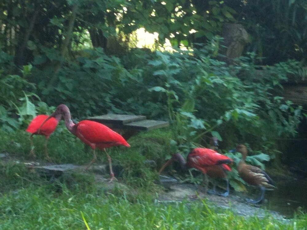 Фото Gästehaus Peterhoff