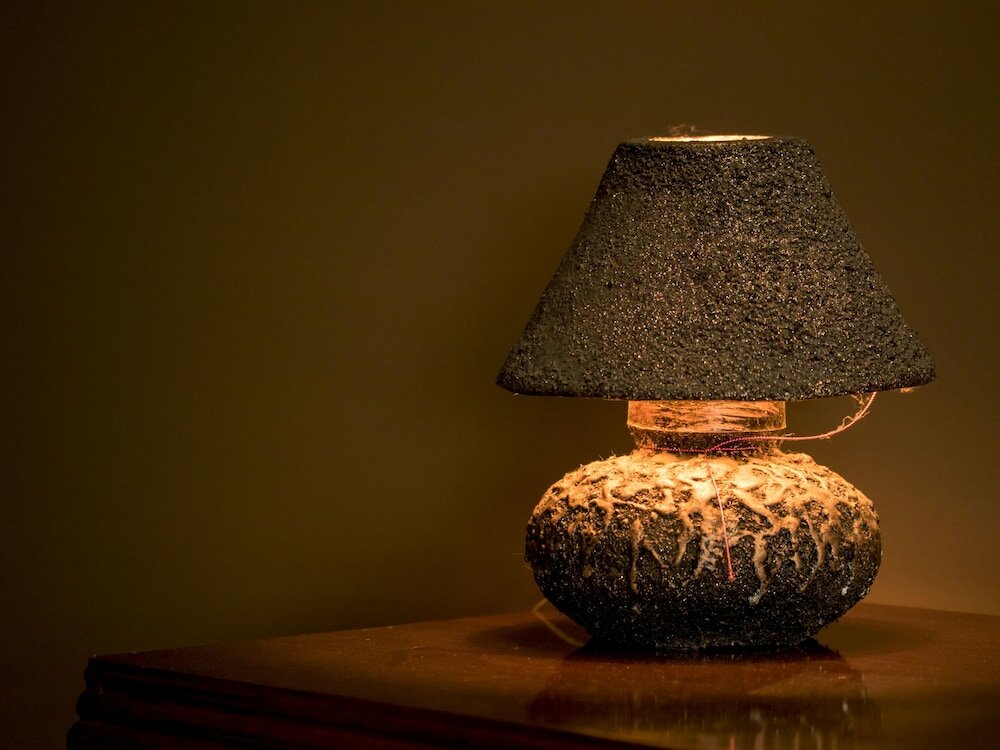 Фото The Oasis Hostel