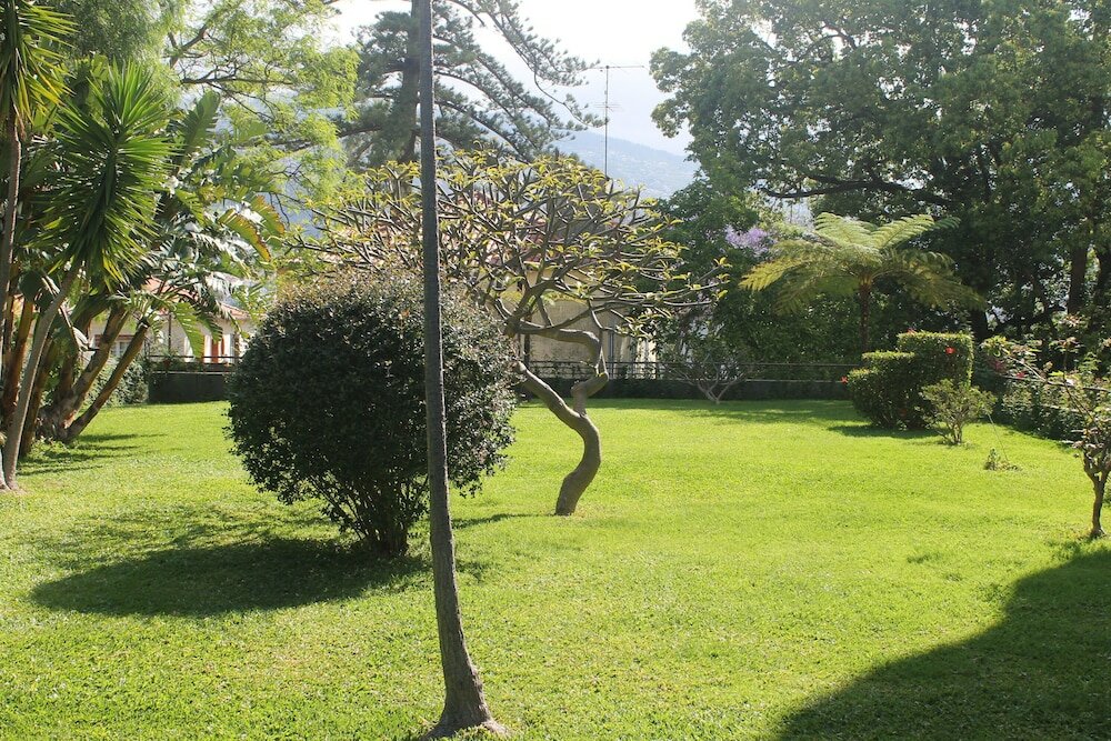 Фото Jasmineiro Palms Palace Apartment