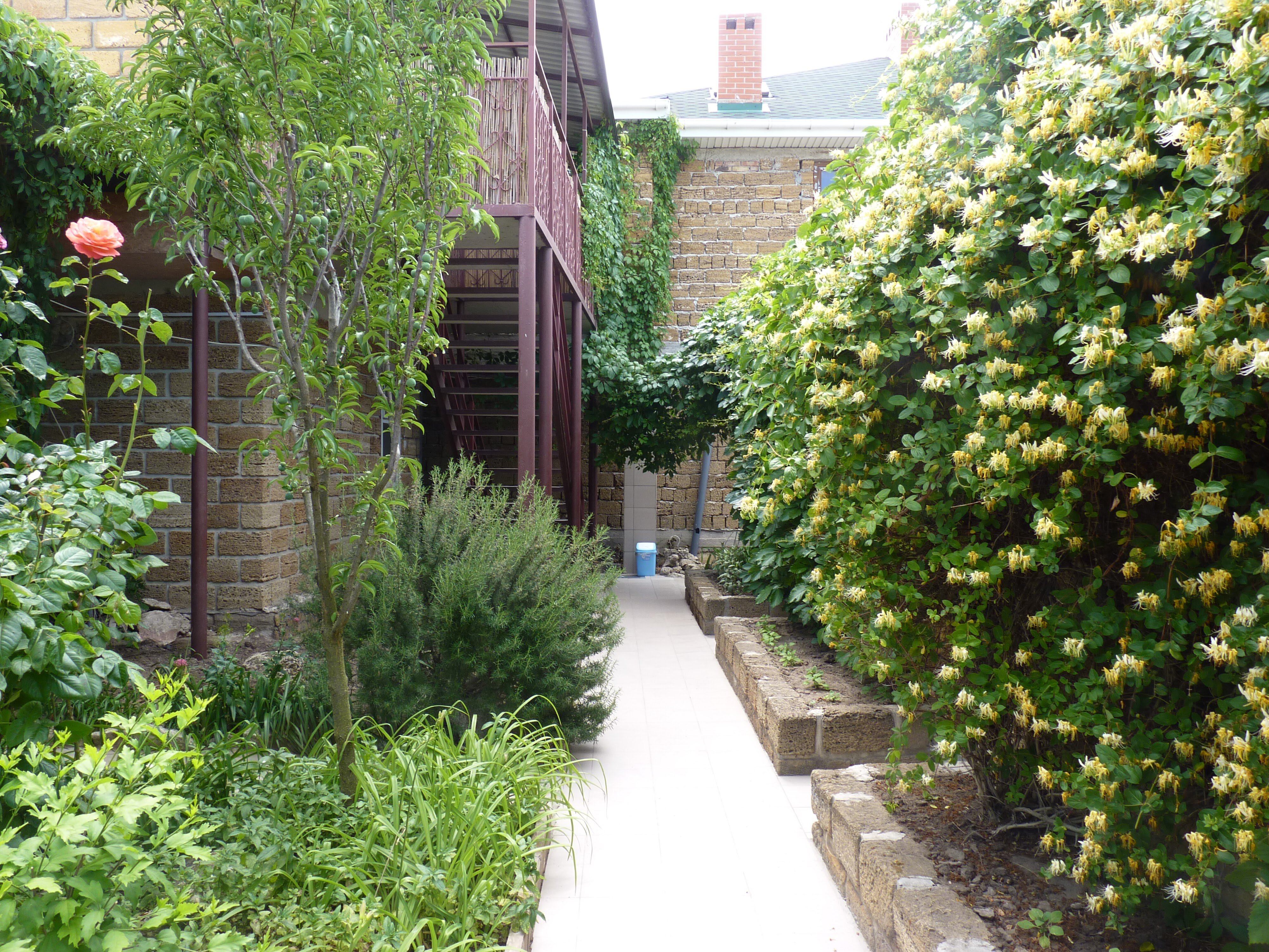 Фото Наш Казантип