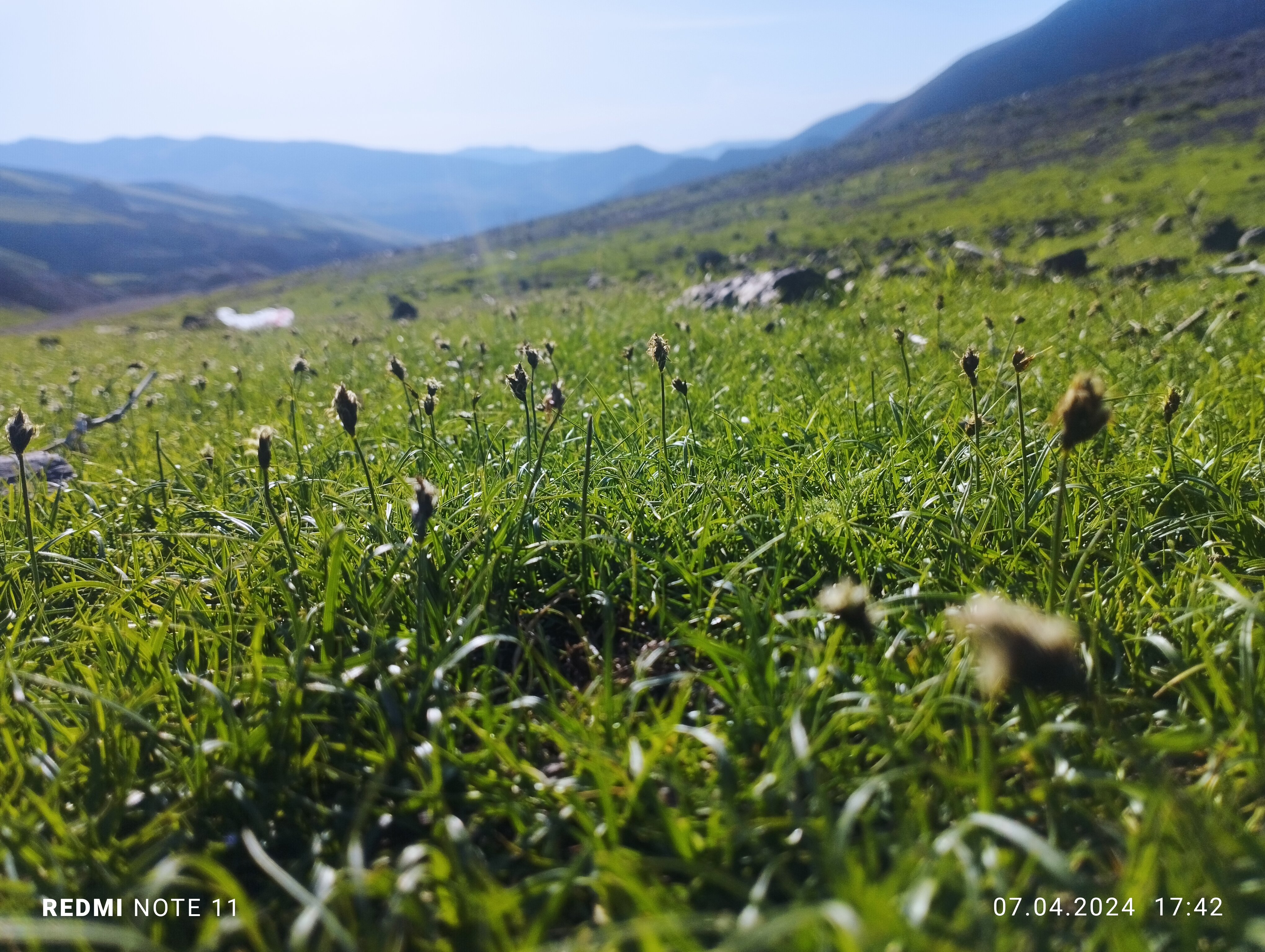 Фото Достук