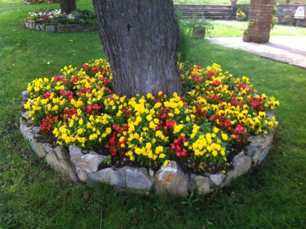 Фото Azienda Agrituristica i Tre Casali