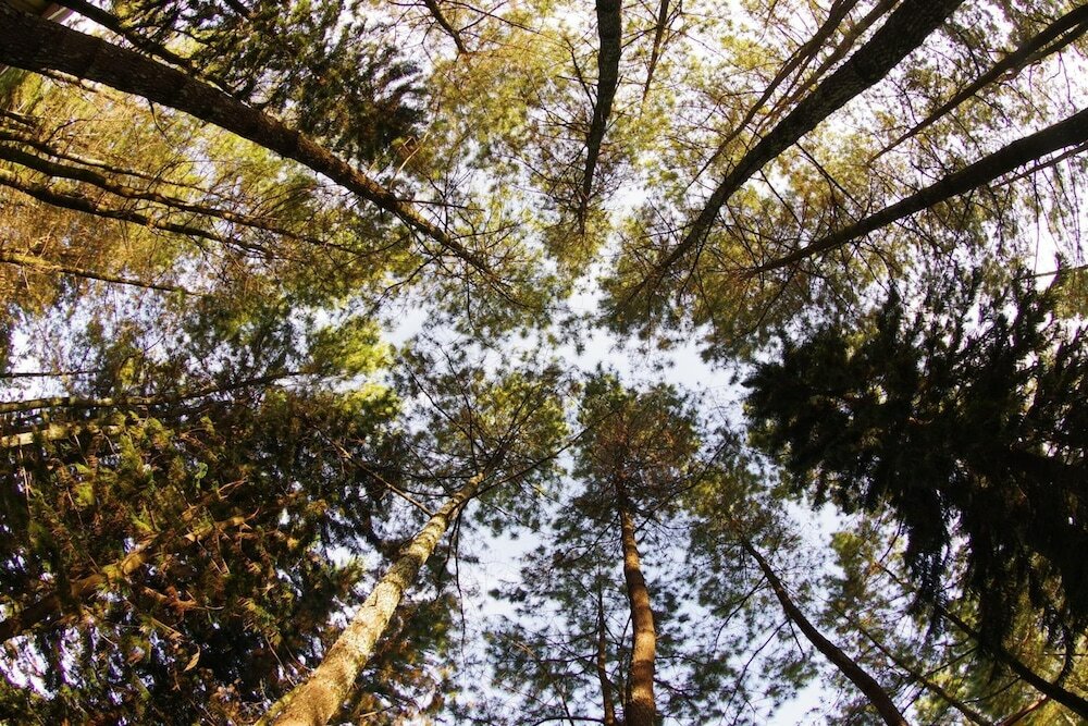 Фото Puri Setiabudhi Residence