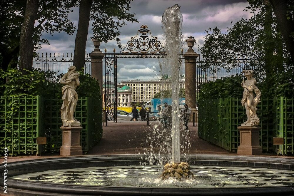 Фото Элефант