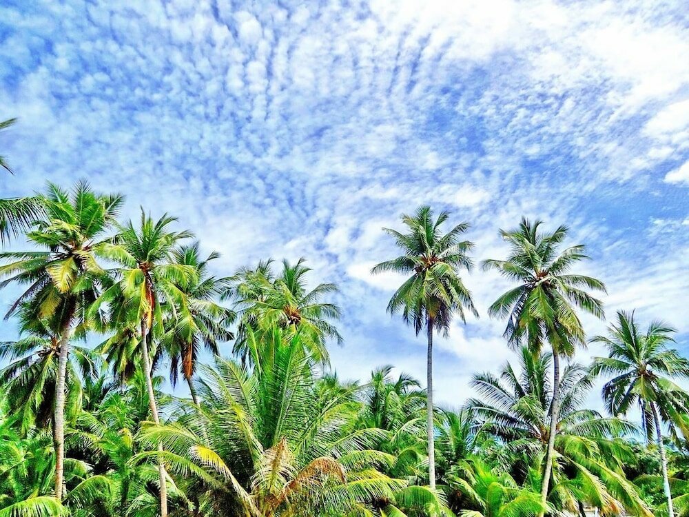 Фото Equator Residence