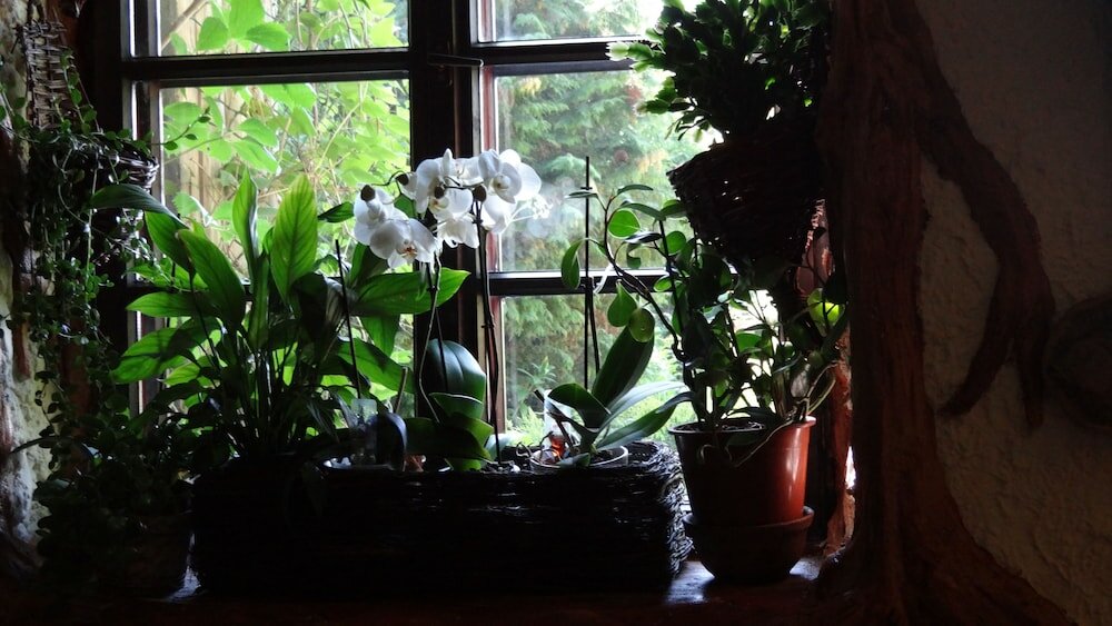 Фото Galindia Refugia