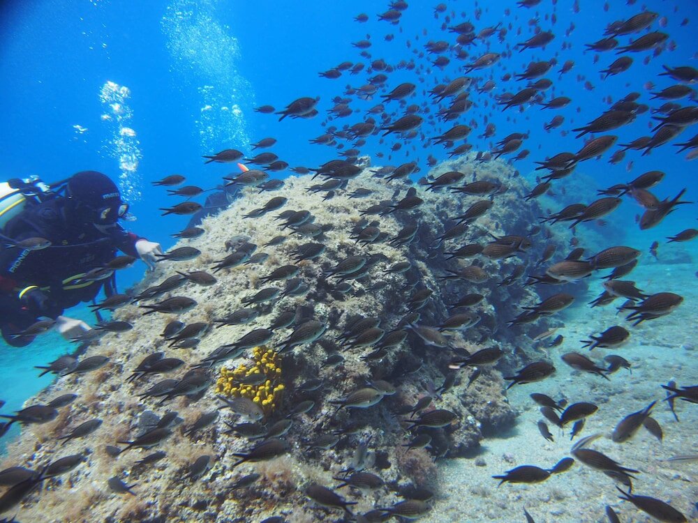 Фото Apartments Bikin