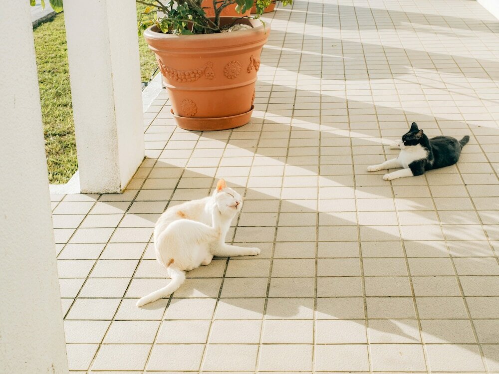 Фото Canaan Coffee & Hotel