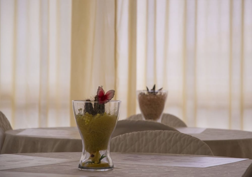 Фото Hotel Fucsia