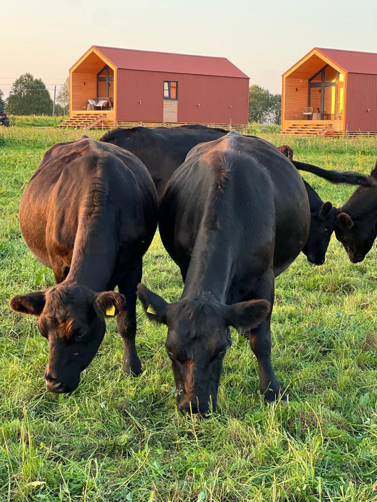 Фото Гастроранчо Хэппи Фарм